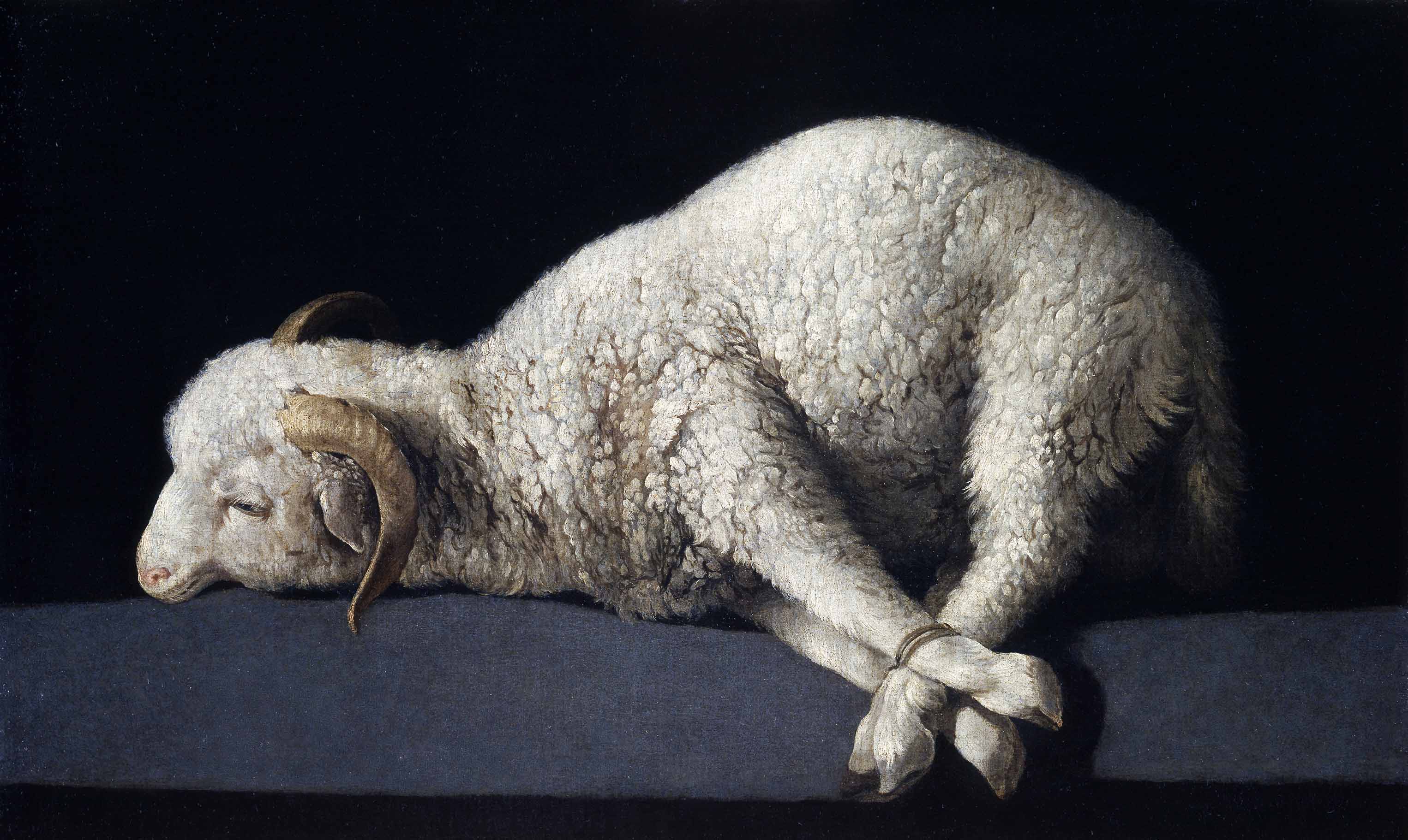 Agnus Dei